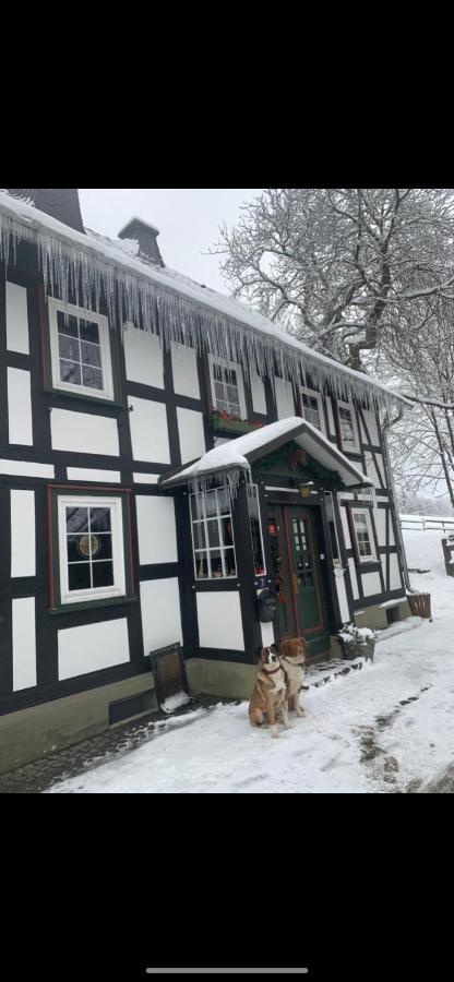 温特贝格 Berghof Schmitte旅馆 外观 照片