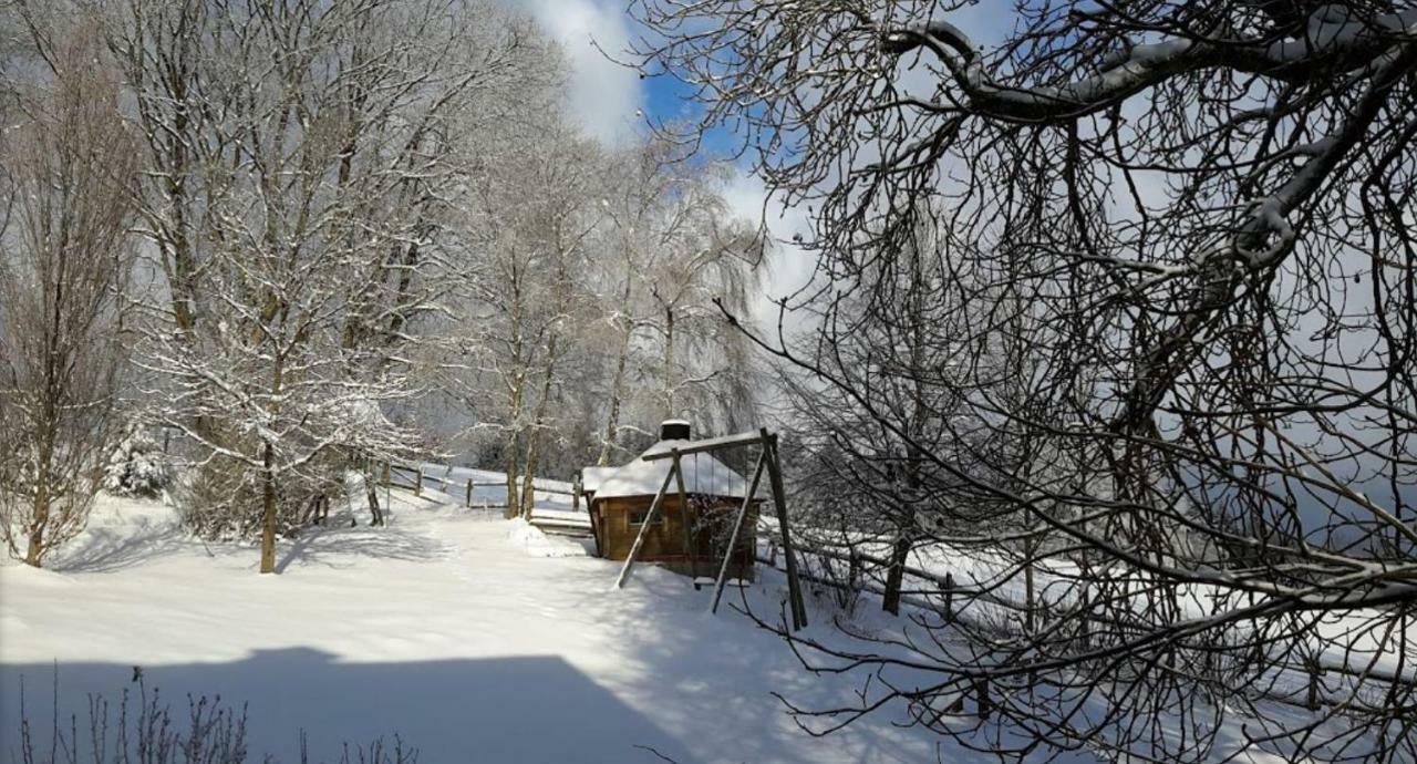 温特贝格 Berghof Schmitte旅馆 外观 照片