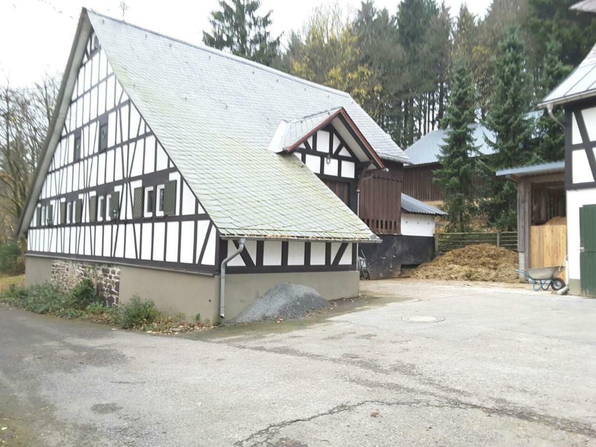 温特贝格 Berghof Schmitte旅馆 外观 照片